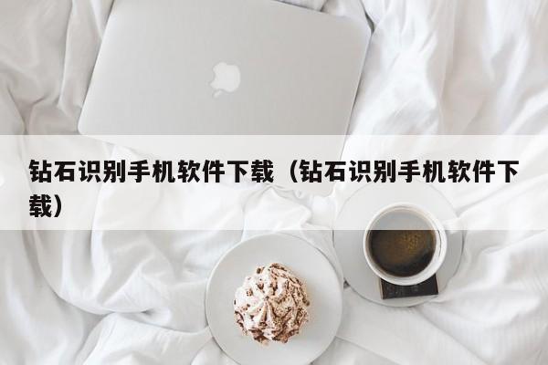 钻石识别手机软件下载(钻石识别手机软件下载)