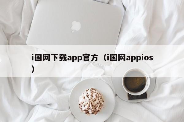 i国网下载app官方(i国网appios)