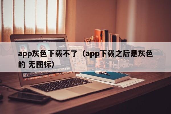 app灰色下载不了（app下载之后是灰色的 无图标）