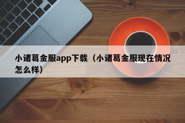 小诸葛金服app下载(小诸葛金服现在情况怎么样)