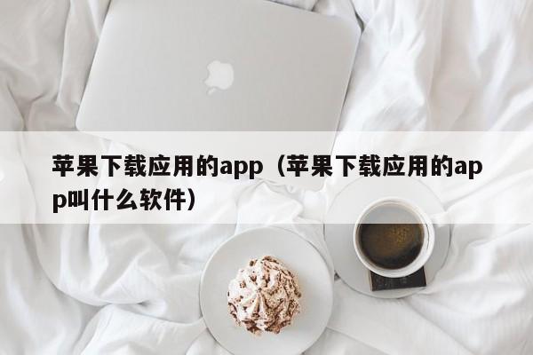 苹果下载应用的app(苹果下载应用的app叫什么软件)