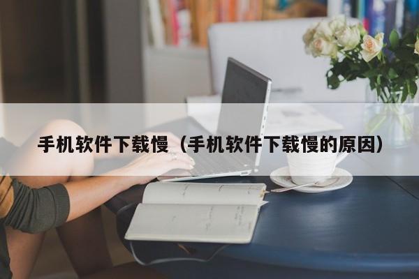 手机软件下载慢(手机软件下载慢的原因)
