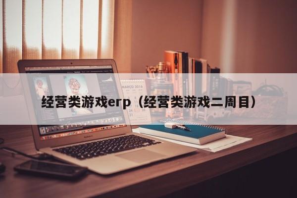 经营类游戏erp（经营类游戏二周目）