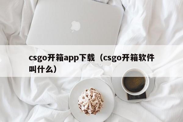 csgo开箱app下载(csgo开箱软件叫什么)