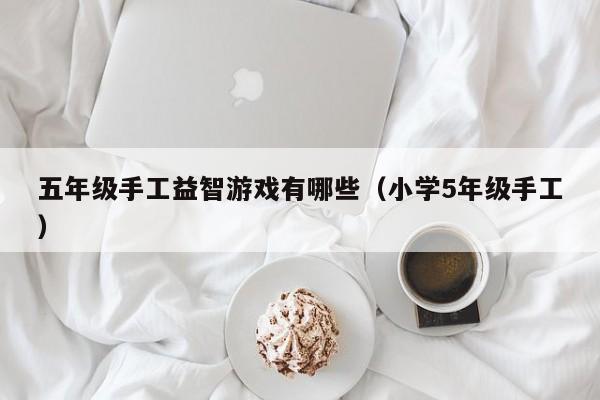 五年级手工益智游戏有哪些(小学5年级手工)