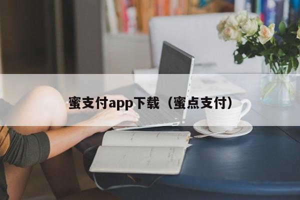 蜜支付app下载(蜜点支付)