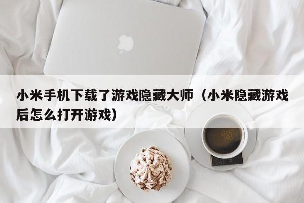 小米手机下载了游戏隐藏大师(小米隐藏游戏后怎么打开游戏)