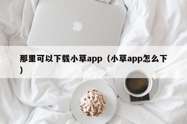 那里可以下载小草app(小草app怎么下)