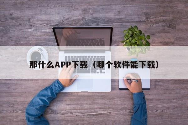 那什么APP下载（哪个软件能下载）