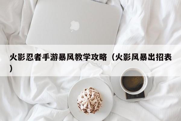 火影忍者手游暴风教学攻略(火影风暴出招表)