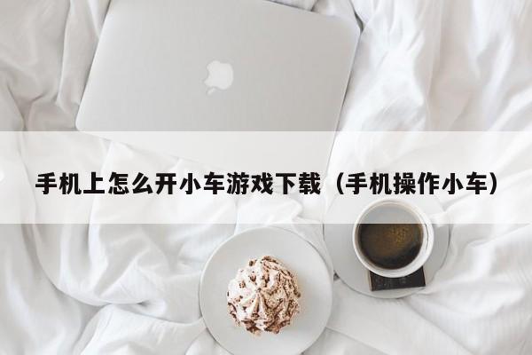 手机上怎么开小车游戏下载(手机操作小车)