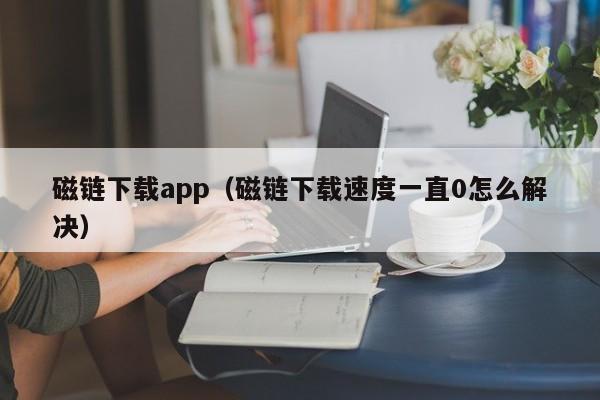 磁链下载app(磁链下载速度一直0怎么解决)