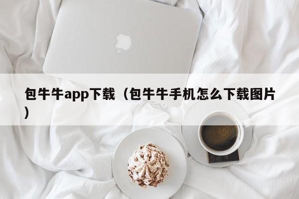 包牛牛app下载（包牛牛手机怎么下载图片）