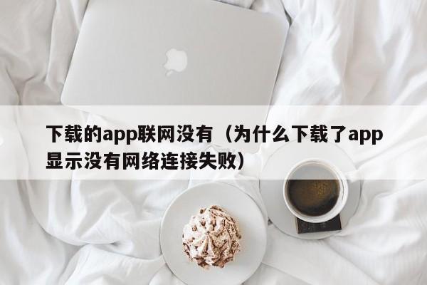 下载的app联网没有（为什么下载了app显示没有网络连接失败）