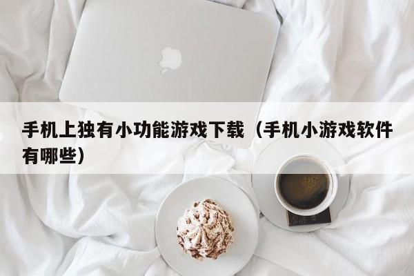 手机上独有小功能游戏下载（手机小游戏软件有哪些）
