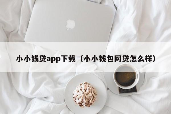 小小钱贷app下载(小小钱包网贷怎么样)