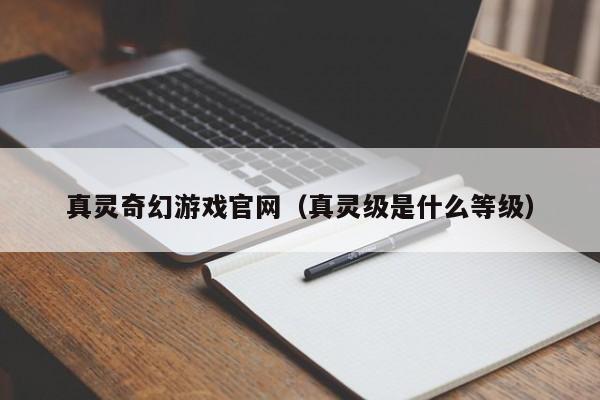 真灵奇幻游戏官网（真灵级是什么等级）