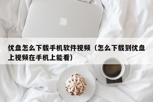 优盘怎么下载手机软件视频(怎么下载到优盘上视频在手机上能看)