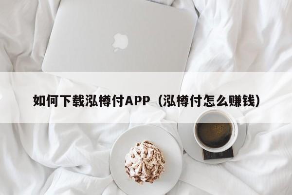 如何下载泓樽付APP(泓樽付怎么赚钱)