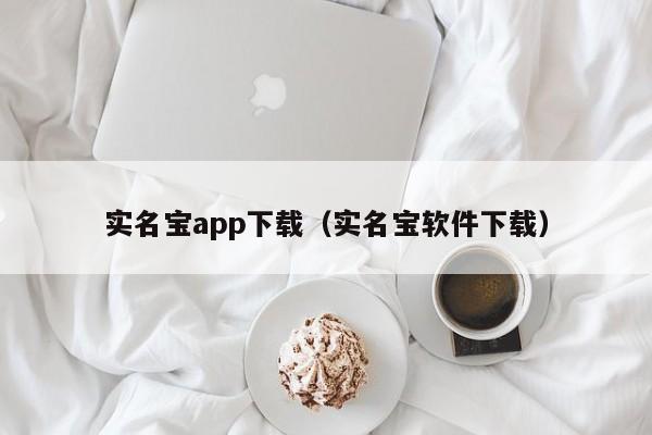 实名宝app下载（实名宝软件下载）